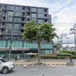 โครงการ The Excel Groove 52 แขวงบางนา