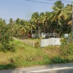 ขายที่ดินสวนมะพร้าว พร้อมบ้านพัก + คอนเทนเนอร์ 40