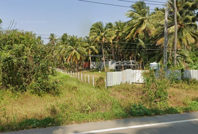 ขายที่ดินสวนมะพร้าว พร้อมบ้านพัก + คอนเทนเนอร์ 40