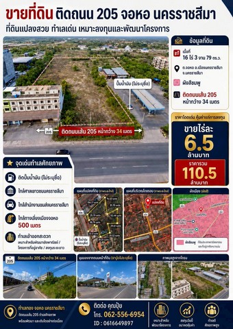ขายที่ติดถนนใหญ่สุรนารายณ์ ขายที่ติดถนน205​