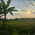 ขายที่ดินสวย บ้านร้องขี้เหล็ก ติดถนน ติดน้ำไหลตลอดปี ทำเลศักยภาพส