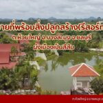 ขายที่ดินห้วยใหญ่เขาชีจรรย์พัทยา
