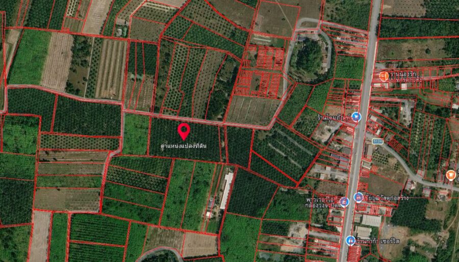 ขายที่ดินเปล่าพร้อมสวนปาล์ม 13 ไร่ ทำเลดี อำเภอรัษฎา จังหวัดตรัง