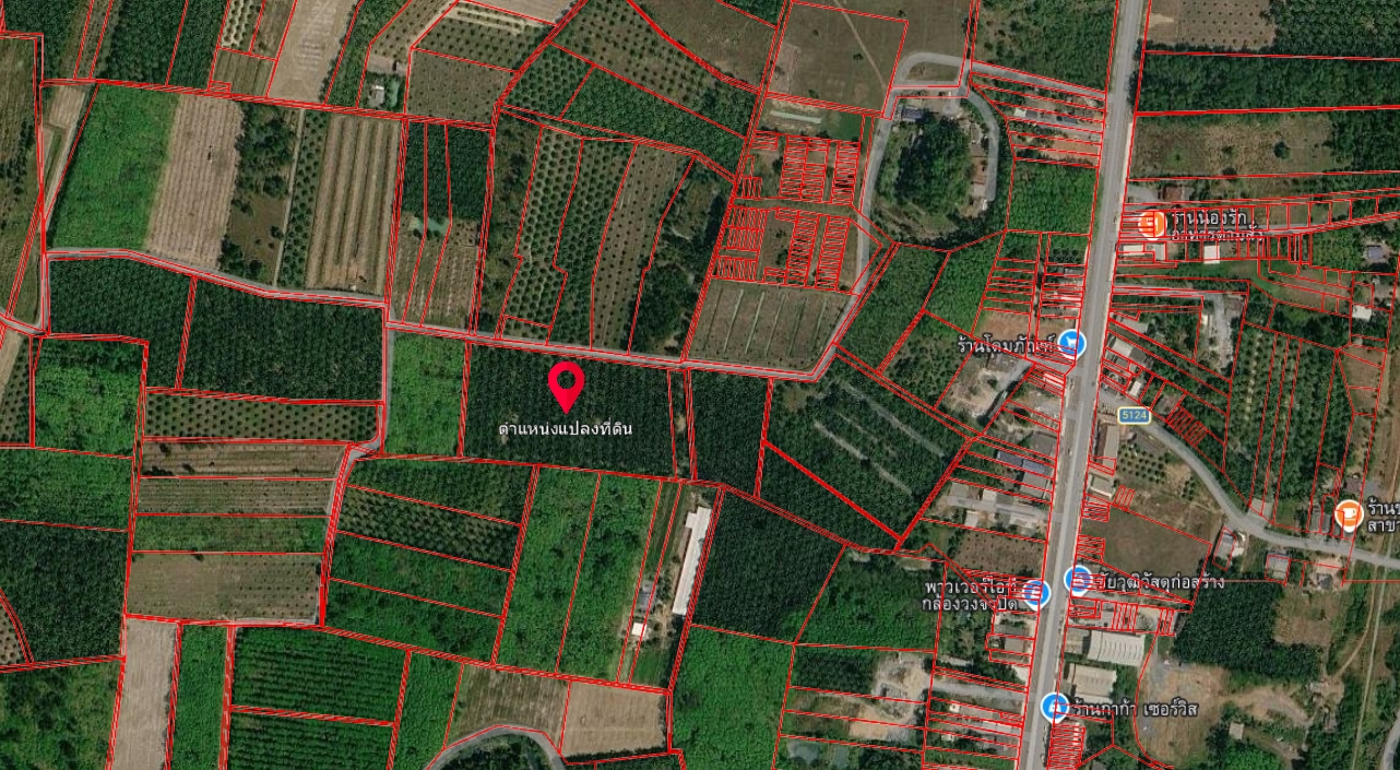 ขายที่ดินเปล่าพร้อมสวนปาล์ม 13 ไร่ ทำเลดี อำเภอรัษฎา จังหวัดตรัง