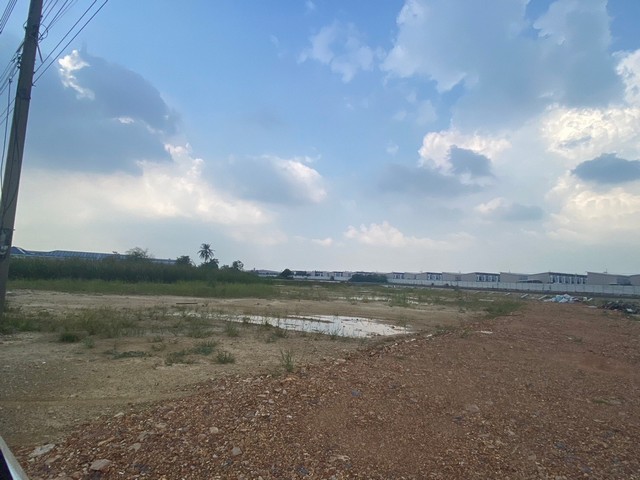 ขายที่ดินเปล่า 48 ไร่ พุทธมณฑลสาย 5 สามพราน