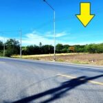ให้เช่าที่ดินติดถนนลาดยาง คลอง11 ธัญบุรี-ลำลูกกา ส