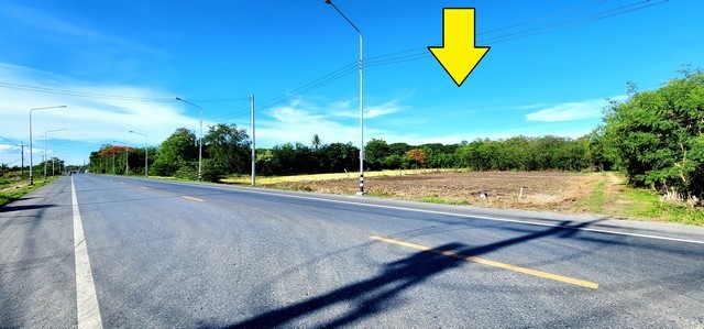 ให้เช่าที่ดินติดถนนลาดยาง คลอง11 ธัญบุรี-ลำลูกกา ส