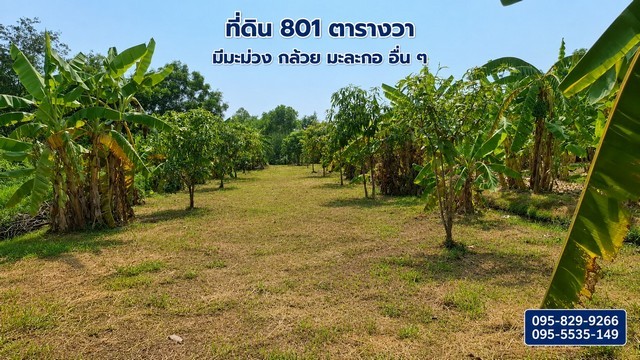 ขายที่ดินถมแล้ว 2-0-01ไร่ เวลเนสซิตี้ อยุธยา