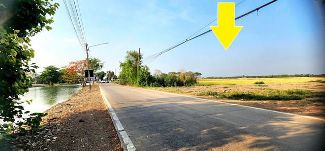 ขายที่ดินติดถนนอง 6 คลองหลวง ปทุมธานี เหมาะทำหมู่บ้าน