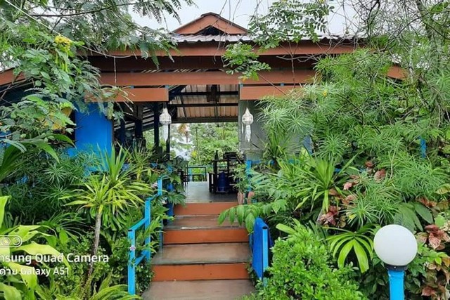 ขายที่ดินพร้อมร้านอาหาร 1-2-85ไร่ 9ลบ. สันโป่ง แม่ริม เชียงใหม่