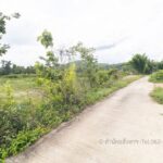 [ขาย] ที่ดินถมแล้ว นครนายก ติดน้ำ วิวสวย ทำบ้านสวนเกษตรในฝัน