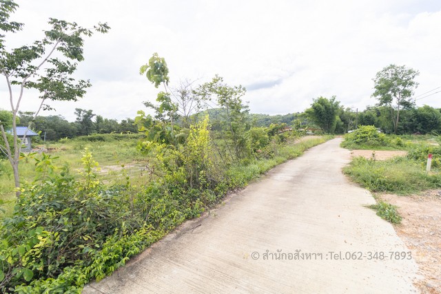 [ขาย] ที่ดินถมแล้ว นครนายก ติดน้ำ วิวสวย ทำบ้านสวนเกษตรในฝัน