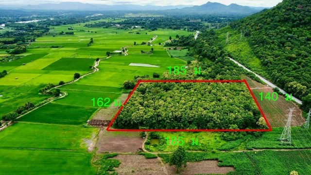 ขายที่ดิน จ.ตาก ( 2.8แสน/ไร่ ) พื้นที่ 16 ไร่ 2 งาน 89 ตร.ว.