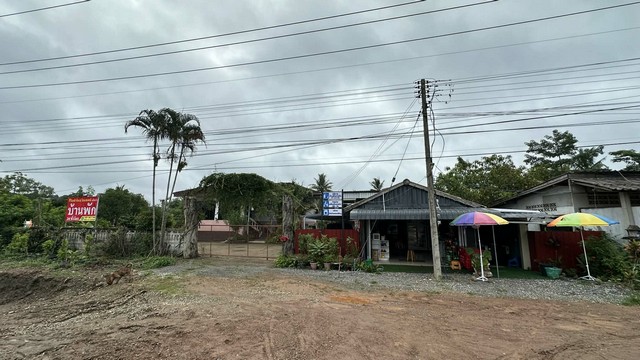 ขายที่ดินพร้อมบ้านและโฮมสเตย์ อำเภอแม่สรวย เชียงราย