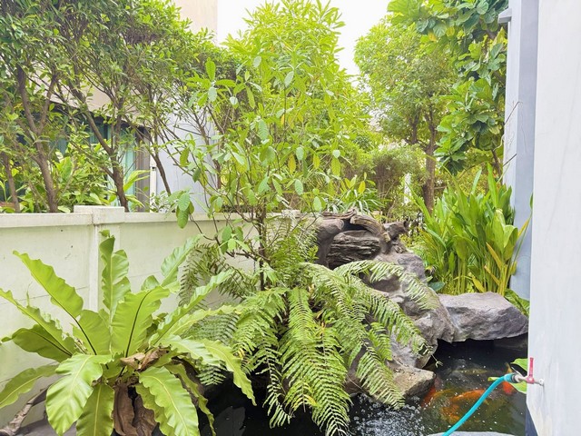 ให้เช่าบ้านเดี่ยว The City Ramintra