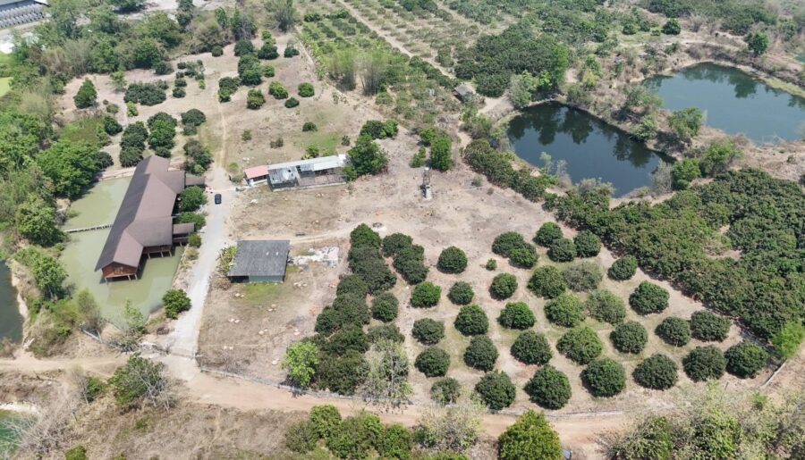 ขายที่ดินพร้อมบ้านและสวนลำไย 14 ไร่ ทำเลดีมาก อ.เมือง จ.ลำพุน