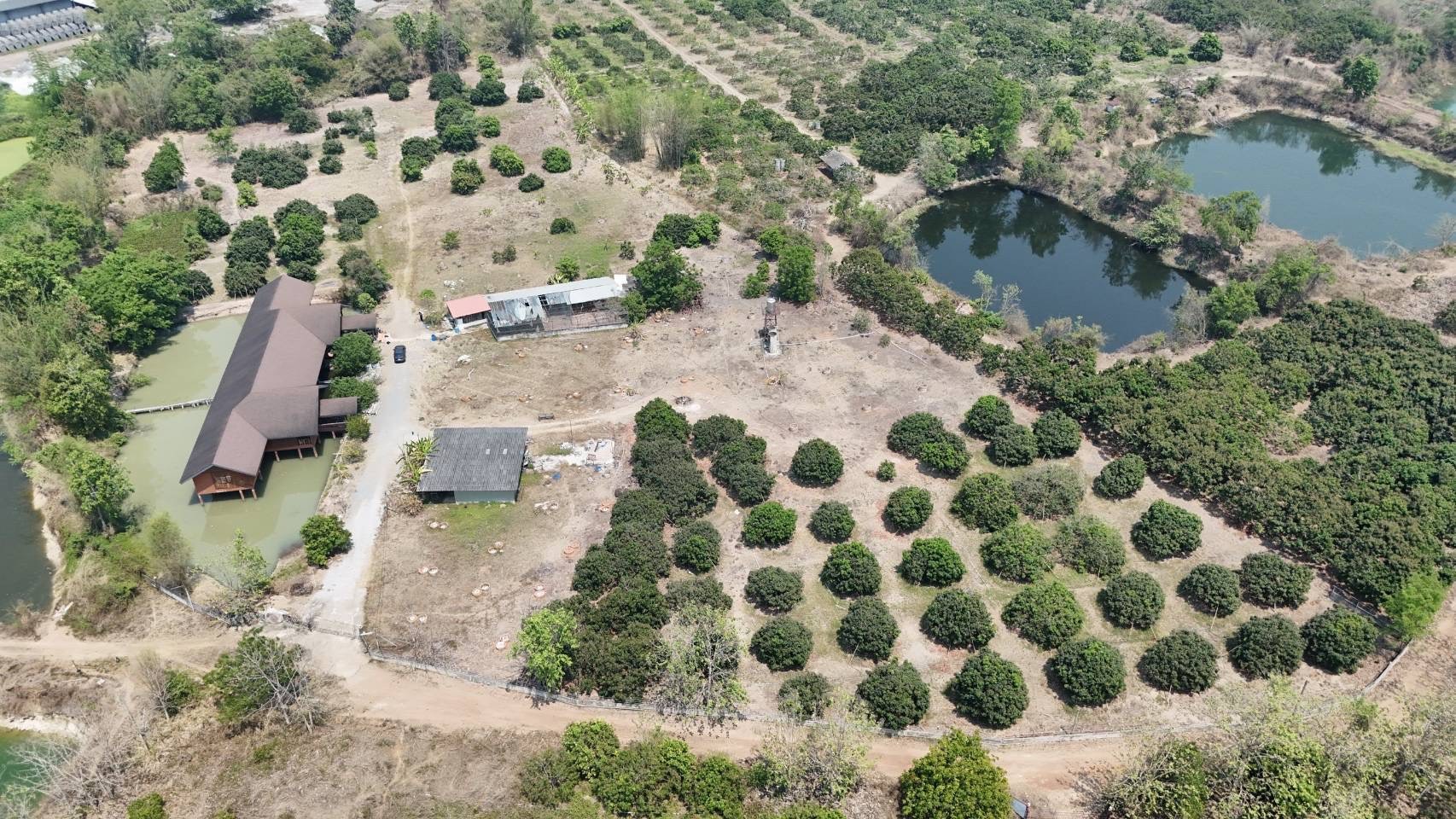ขายที่ดินพร้อมบ้านและสวนลำไย 14 ไร่ ทำเลดีมาก อ.เมือง จ.ลำพุน