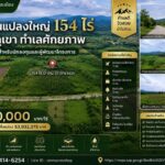 ที่ดินแปลงใหญ่ 154 ไร่ วิวภูเขา ทำเลศักยภาพ เมืองเชียงราย