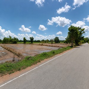 ขายที่ดินสวย ทำเลดีมาก ติดถนน 2 ด้าน ชัยนาท