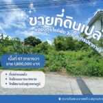 ที่ดินเปล่าจตุรโชคชัย3/6