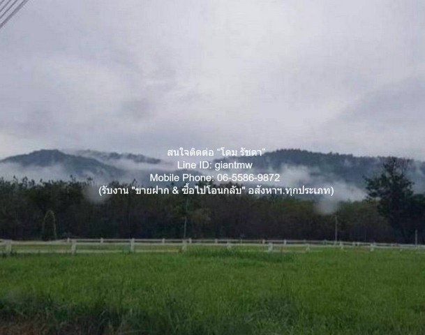 ขายที่ดินจัดสรร (โฉนด) 266 ตร.ว. ต.หมูสี อ.ปากช่อง จ.นครราชสีมา