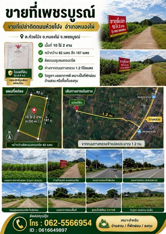 ขายที่อำเภอหนองไผ่