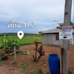 ขายที่ดินเพียงหลักแสน แปลงสวย 1 ไร่ ต.ปากข้าวสาร อ.เมือง จ.สระบุร