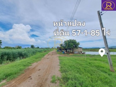 ขายที่ดินใกล้วิทยาลัยเทคโนโลยีสารสนเทศเพชรบูรณ์ แปลงสวย 57-1-85 ไ