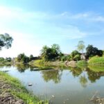 ขายที่ดินติดน้ำติดคลอง หลัง มศว องครักษ์ นครนายก