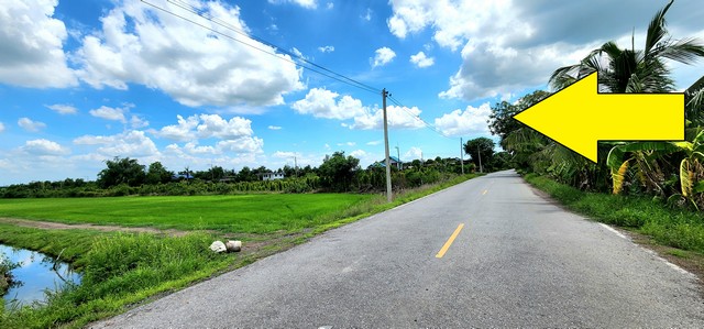 ขายที่ดินติดถนนลาดยาง คลอง 23 องครักษ์ ราคาถูก