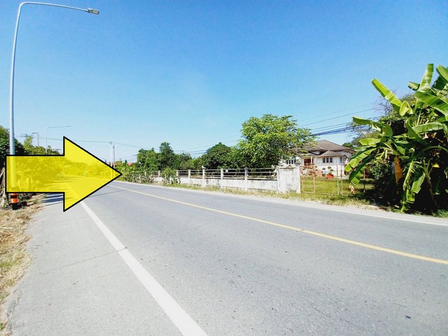 ขายที่ดินติดถนนลาดยางเรียบคลอง12 หนองเสือ ปทุมธานี ทำเลค้าขาย