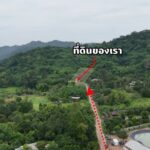 ขาย ที่ดิน พร้อมบ้าน ติดเขา และสวนผลไม้ 1-3-38. ต.เขาพระ จ.นครนา