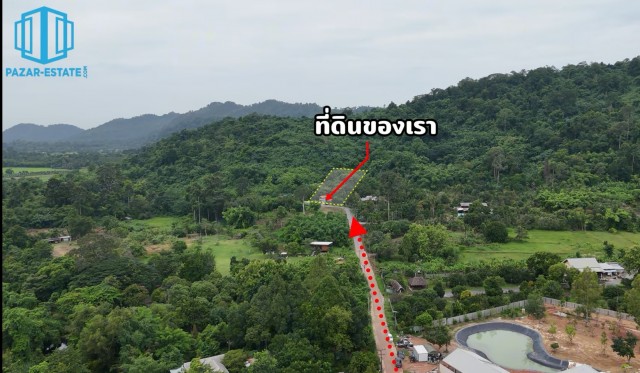 ขาย ที่ดิน พร้อมบ้าน ติดเขา และสวนผลไม้ 1-3-38. ต.เขาพระ จ.นครนา