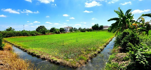 ขายที่ดิน 1ไร่ คลอง 12 หนองเสือ ติดถนน 2 ด้าน