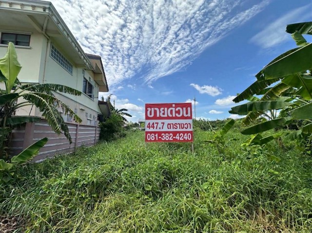 ขายที่ดิน 447.7 ตร.วา ซอยวัดพระเงิน ตรงข้าม Foody Farm Community