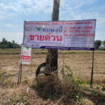 ที่ดิน 3 งาน 78.0 ตรว. ที่ดินสวย ทำเลดี ขามทะเลสอ นครราชสีมา