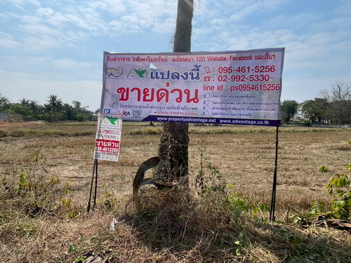 ที่ดิน 3 งาน 78.0 ตรว. ที่ดินสวย ทำเลดี ขามทะเลสอ นครราชสีมา