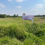 ที่ดิน 1-3-59.0 ไร่ ที่ดินแปลงใหญ่สวย ขามทะเลสอ นครราชสีมา