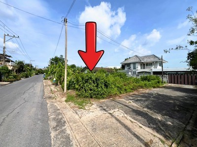 ปลูกบ้านอยู่เองต้องทำเลนี้! ขายที่ดินลำลูกกา 11 (ซอยแก้วขวัญ) 87