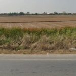 ขายที่ดินแปลงใหญ่ ทำเลดี ติดถนนทางหลวงแผ่นดิน3231 บางเลน นครปฐม