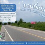 ขายที่บ้านแพ้ว ที่ดินสวนส้ม ติดถนนทางหลวงชนบท