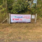 ขายที่ดินสวนยางพารา 37-2-80 ไร่ ต.นาพู่ อ.เพ็ญ จ.อุดรธานี
