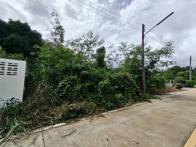 ตัดใจขาย ที่ดินแปลงสวย 112 ตร.ว. ทางเกวียน แกลง ระยอง ผังเหลือง