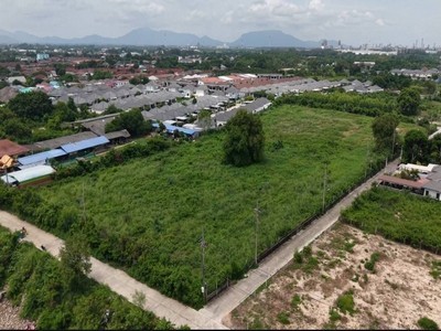 ขายที่ดิน 12 ไร่ ตำบลเชิงเนิน อำเภอเมือง จังหวัดระยอง