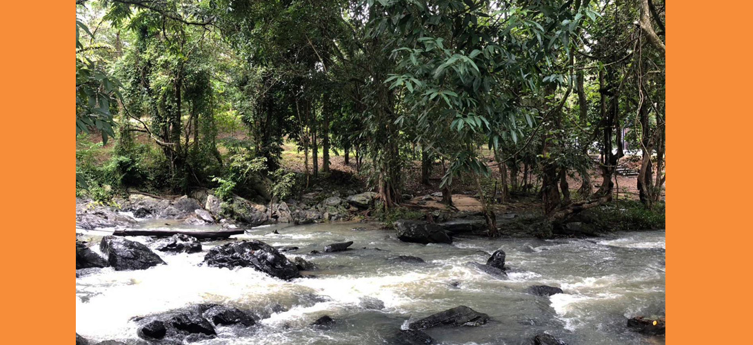 ที่ดิน ขาย ที่ดินแบ่งขายแปลงละครึ่งไร่ หาดใหญ่ ขายที่ดินตรวละ7000บาท ใกล้ลำธารธรรมชาติ