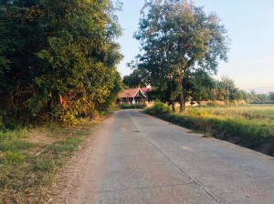 ที่ดิน ขาย ที่นา-ที่ดินราคาถูกนครราชสีมา ใกล้ถนนโชคชัย-เดชอุดม ใกล้ทางหลวงหมายเลข24 น้ำประปาไฟฟ้าผ่านหน้าที่นา เข้าออกหมู่บ้านได้2เส้นทาง
