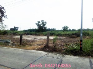 ที่ดิน ขาย โครงการเชิงพาณิชย์ เหมาะจัดสรรแบ่งขาย, ที่ดินธัญบุรีคลอง6,หรือปทุมธานี ขายถูก เหมาะทำหมู่บ้านจัดสรร