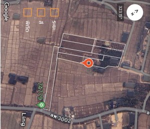 ขาย ที่ดิน ขายที่ดินอำเภอเมืองลำพูนราคาถูก ติดถนนบ้านบูชา-ป่าสัก เจ้าของขายเอง ตำบลป่าสัก ใกล้แหล่งชุมชน-ตลาด-ห้าง-โรงพยาบาล