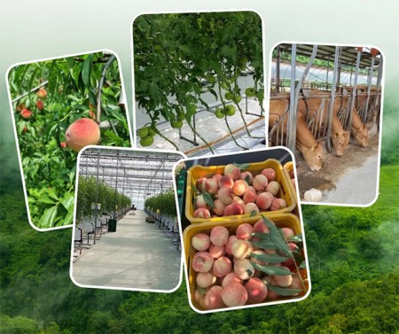 บริการ ประกาศ รายได้ดีมาก รับสมัครงานต่างประเทศด่วน งานสวนประเทศเกาหลีใต้ จัดหางานต่างประเทศ งานสวนประเทศออสเตรเลีย