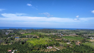 ที่ดิน ขาย ซื้อที่ดินโคกกลอยเจ้าของขายเอง ที่ดินเปล่าโคกกลอยโฉนดพร้อมโอน ใกล้สนามบินภูเก็ตใกล้ทะเล เหมาะทำบ้านพักตากอากาศ ขายที่ดินใกล้หาดนาใต้ไม่เกินล้าน